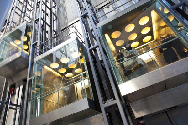 Elevator Driver Poly V belt